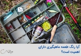 آیا رنگ طعمه ماهیگیری دارای اهمیت است؟